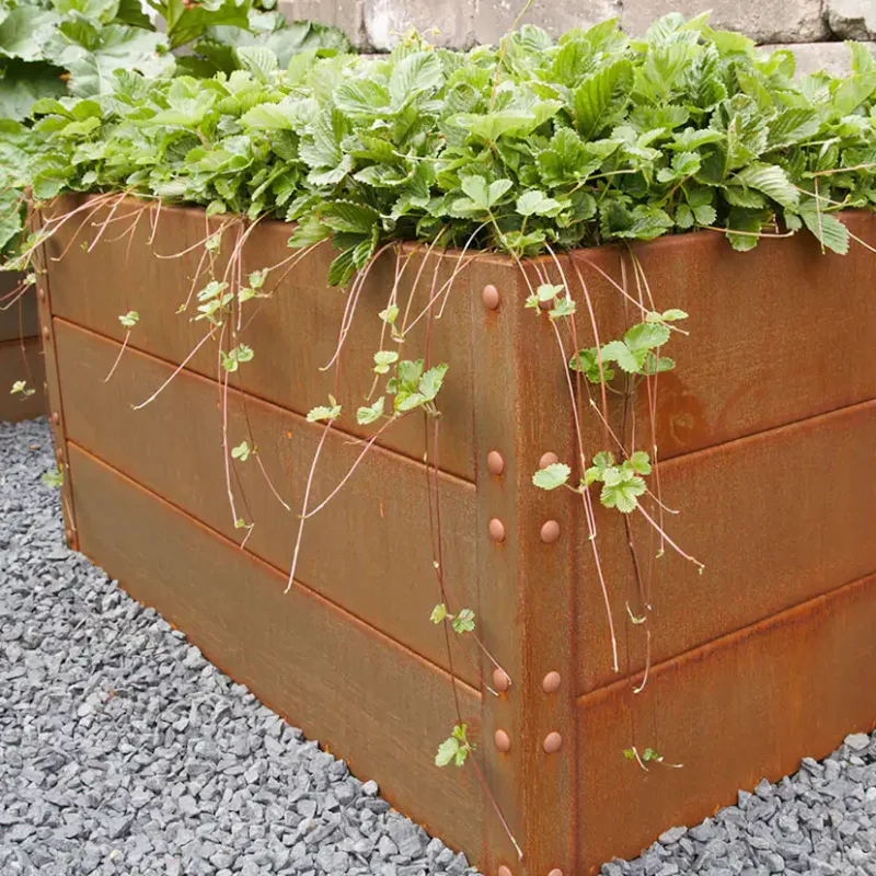 Snabb leverans Odlingslåda Flexigarden Cortenplåt 2 mm 800x1200x600 mm