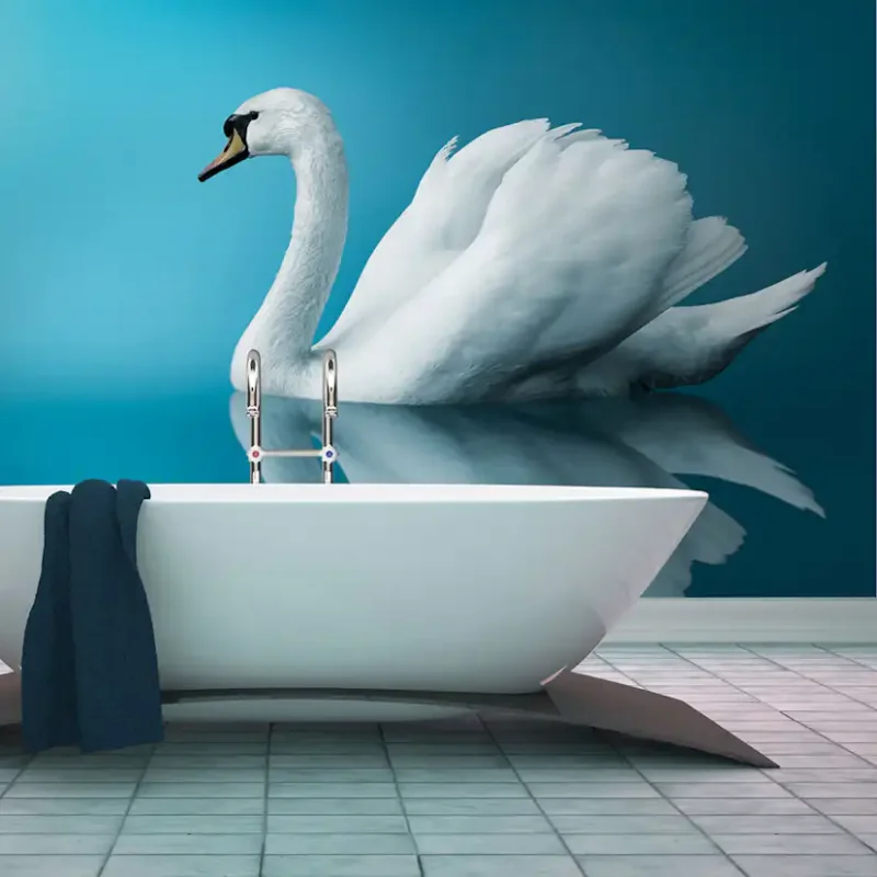 Fototapet Arkiio Svan ReflektionStorlek: 350x270 cm Reapris